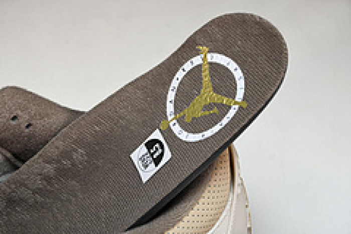 Air Jordan 3 "Palomino" CT8532-102