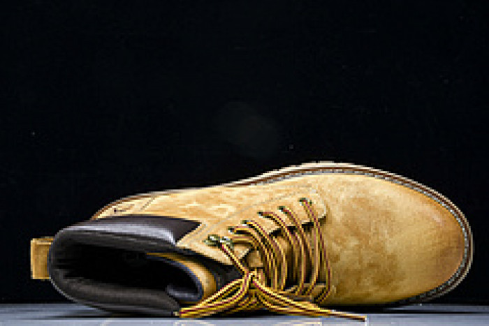 Timb**1*nd sneaker  tbl-04