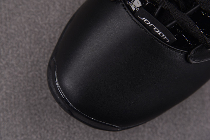 Air Jordan 17 OG 303891-004