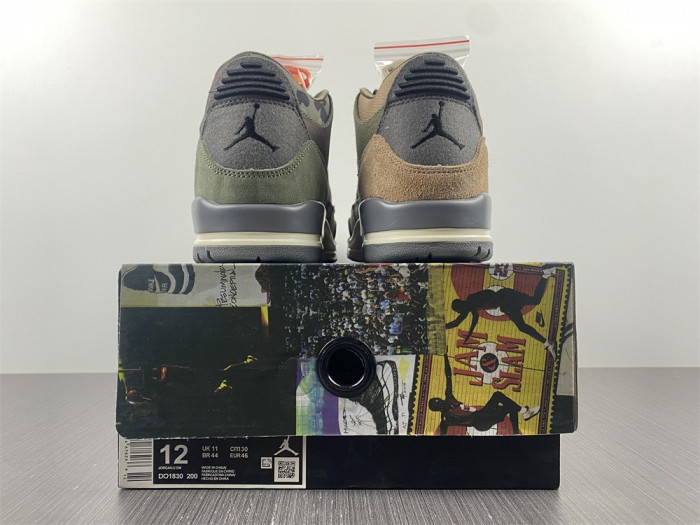 Air Jordan 3 “Camo” DO1830-200
