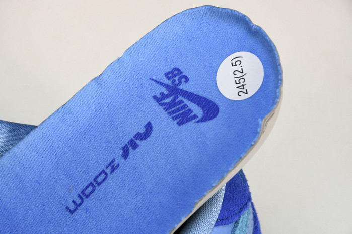 Nike Dunk Low  Pro“Blue Raspberry DM0807-400