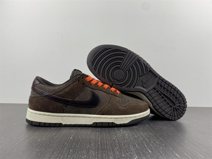 Nike Dunk Low Retro  DQ8801-200