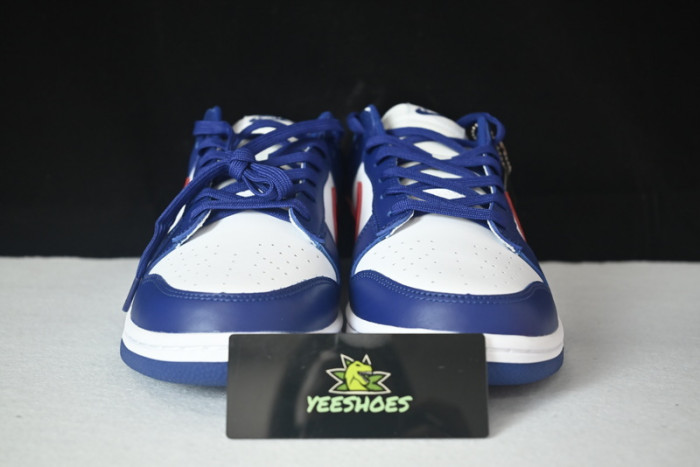 NIKE DUNK LOW DD1503-119