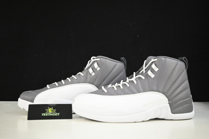 Air Jordan 12 AJ12 Royalty STEALTH  CT8013-015