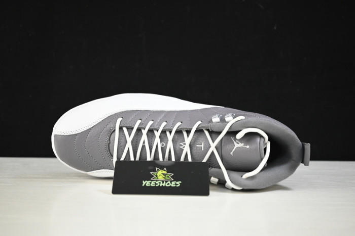 Air Jordan 12 AJ12 Royalty STEALTH  CT8013-015